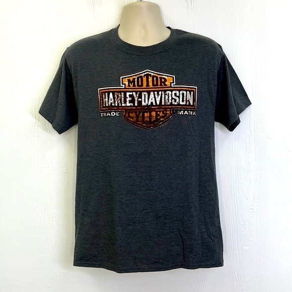 Harley Davidson - Eureka Springs Arkansas With Hog Gray Short Sleeve Shirt Med - Picture 1 of 10